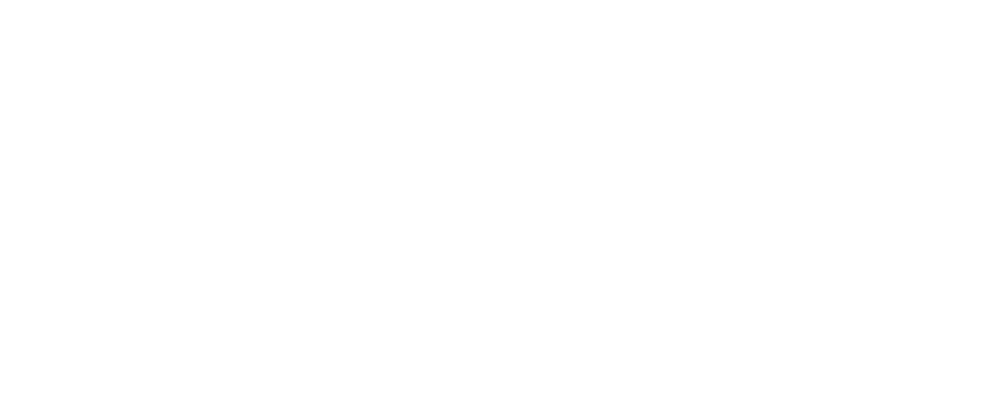 Delistar trailer - White Logo